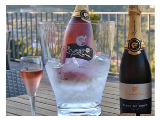 世界遺産ドウロ渓谷 ワインツアー ワイナリー2箇所訪問＆クルーズ付き ＜昼食付き／英語ガイド／ポルト発＞ by Cityrama