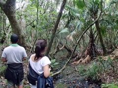 小笠原父島の森歩き1日05