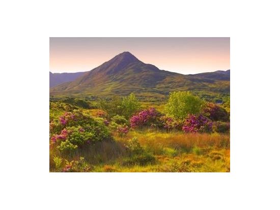 アイルランド西海岸 1泊2日観光ツアー　モハーの断崖＆コネマラ地方 ＜ゴールウェイ宿泊／列車利用／朝食付き／英語ガイド／ダブリン発＞