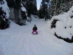 Switzerland, Interlaken, Night Sledding