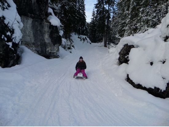 そり滑り体験ナイトツアー　チーズフォンデュのディナー付き ＜12～3月／英語ガイド／インターラーケン発＞