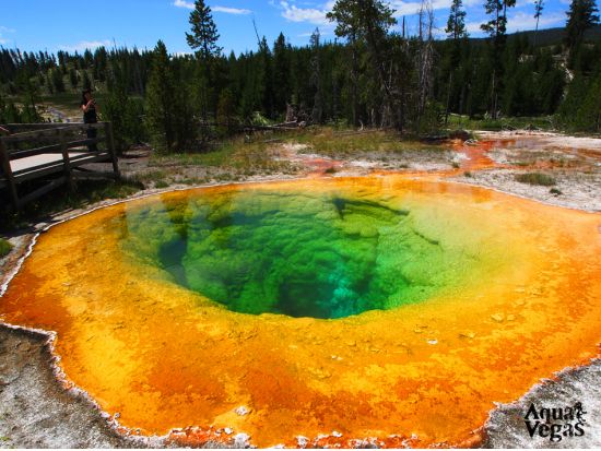 世界遺産イエローストーン国立公園＆デビルズタワー＆マウントラシュモア　3泊4日ツアー ＜5～10月／日本語ガイド／デンバー発ソルトレイクシティ着＞