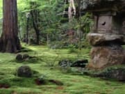 One of the mossy gardens of Jikkoin Temple.