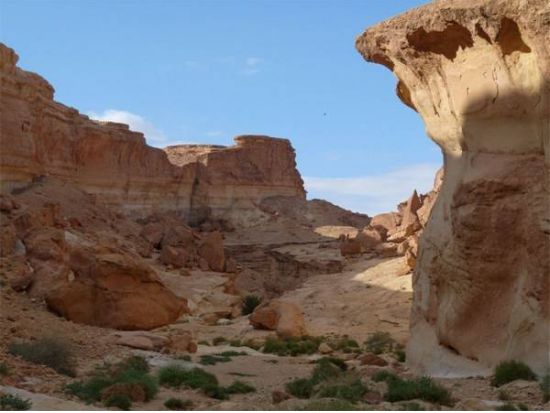 映画『スターウォーズ』の世界　チュニジア南部 ロケ地巡り3泊4日ツアー ＜貸切／食事付き／日本語または英語ガイド／チュニス発＞