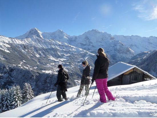 スノーシュー体験ツアー 　壮大なアルプス山脈を望む雪山ハイキング＜12～4月／英語ガイド／インターラーケン発＞