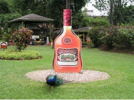 【貸切チャーター】ジャマイカの穴場人気観光地を周遊！日帰りツアー☆フォトジェニックなスポットを多数訪問＜1日／英語ドライバーガイド／モンテゴベイ発＞