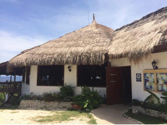 ジンベイザメシュノーケリングツアー　グループや家族旅行におすすめ！片道約4時間を貸切専用車でゆったり快適に＜イタリアンランチ／日本語ガイド／送迎＞