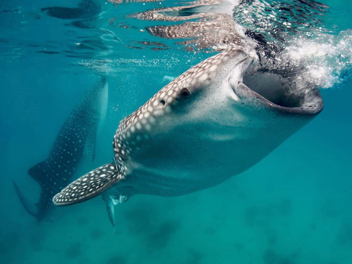 20150225052325_159631917_2595_