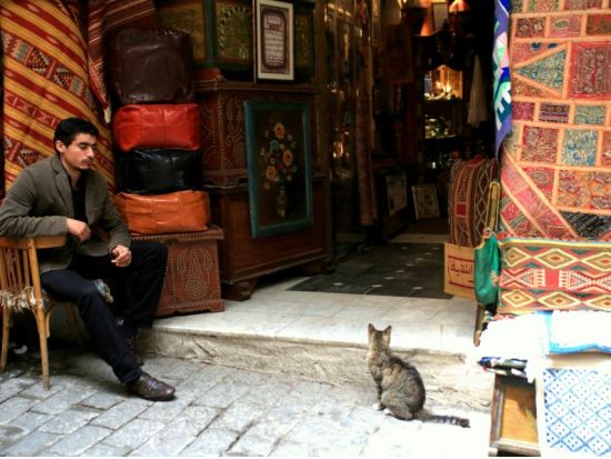 アラブチュニジア雑貨を巡る　日帰りツアー ＜貸切／日本語ガイドまたは英語ガイド／チュニス発＞