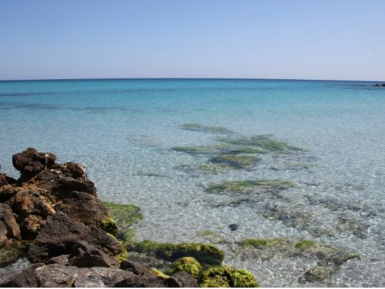 世界遺産ケルクアンとボン岬半島　日帰り観光ツアー ＜貸切／昼食付き／日本語または英語ガイド／チュニス発＞