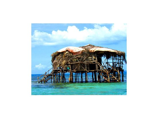 【貸切チャーター】ジャマイカの穴場人気観光地を周遊！日帰りツアー☆フォトジェニックなスポットを多数訪問＜1日／英語ドライバーガイド／モンテゴベイ発＞