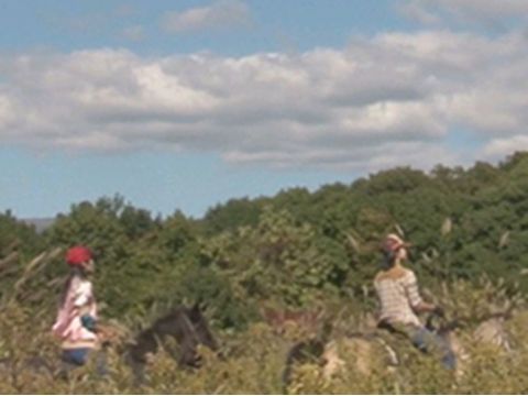 乗馬体験 初心者も楽しめる選べる3コース＜函館市＞