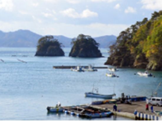 三陸の海でファンダイビング[宮城ダイビングサービスハイブリッジ/女川]