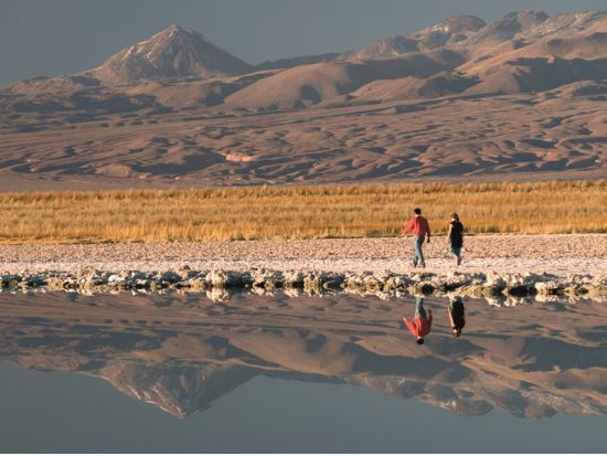 アタカマ高地の湖をめぐる！ミスカンティー湖＆ミニケス湖＆アタカマ塩湖 観光ツアー＜昼食付／英語ガイド／サン・ペドロ・デ・アタカマ発＞