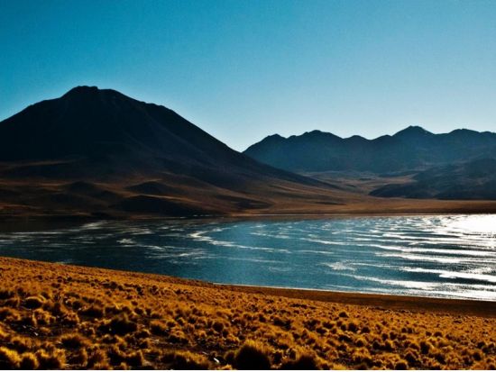 アタカマ高地の湖をめぐる！ミスカンティー湖＆ミニケス湖＆アタカマ塩湖 観光ツアー＜昼食付／英語ガイド／サン・ペドロ・デ・アタカマ発＞