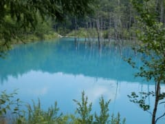 Blue Pond in Biei