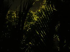 IMG_2837