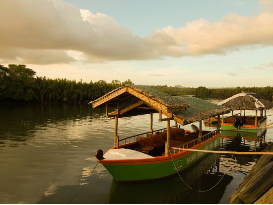 ボホール島日帰り観光ツアー ホタル観賞ナイトクルーズ＆パングラオ島 オーガニックディナー＜貸切／英語ガイド／夕食付き／ボホール発＞