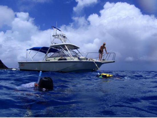 父島ツアー3日間パックプラン! シュノーケル体験＋海＆南島観光ツアー＋父島フォレストウォーク＜3日間／小笠原諸島＞by小笠原エコツーリズムリゾート