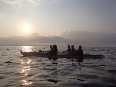 IMG_05844