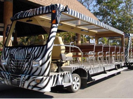 【チェンマイ発】ナイトサファリ　トラムで夜の動物観察！＜日本語ガイド／ホテル送迎／夕食付＞