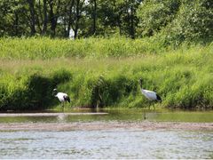 釧路湿原カヌー　国立公園＆ラムサール条約登録湿地「釧路湿原」で通年楽しむプライベートカヌープランアレキナイ川往復コース ＜塘路駅発着＞by ヒーリングカヌー釧路
