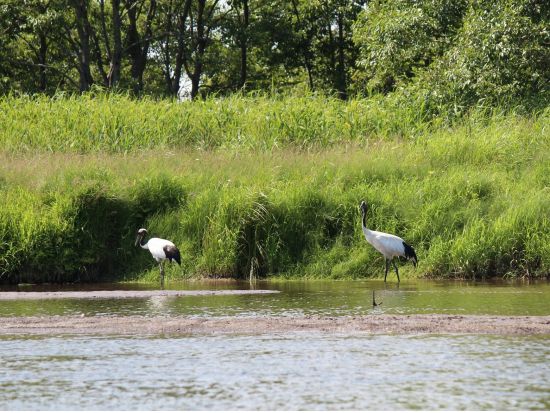 釧路湿原カヌー　国立公園＆ラムサール条約登録湿地「釧路湿原」で通年楽しむプライベートカヌープランアレキナイ川往復コース ＜塘路駅発着＞by ヒーリングカヌー釧路
