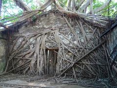 anping tree house in tainan taiwan