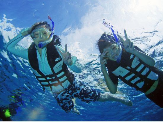 シュノーケリング 5歳から参加可能！カラフルな熱帯魚に会いに行こう！トイレ・温水シャワー・更衣室完備＜名護発＞