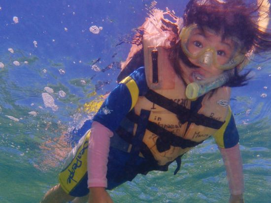 シュノーケリング 5歳から参加可能！カラフルな熱帯魚に会いに行こう！トイレ・温水シャワー・更衣室完備＜名護発＞