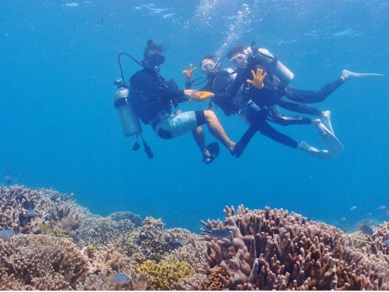 体験ダイビング （名護発） ボートで5分のサンゴの海へ！＜トイレ・温水シャワー・更衣室完備＞