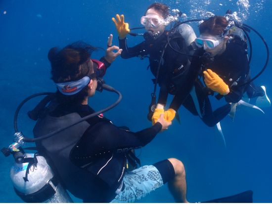 体験ダイビング （名護発） ボートで5分のサンゴの海へ！＜トイレ・温水シャワー・更衣室完備＞