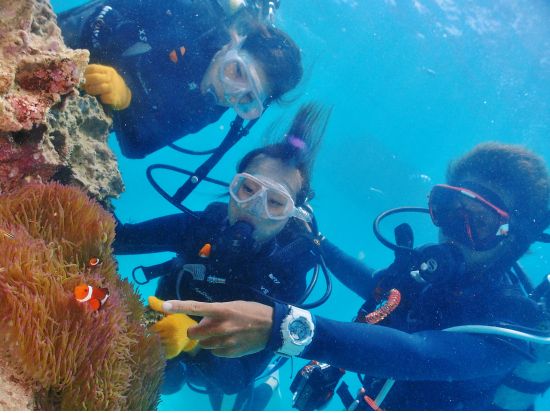 体験ダイビング （名護発） ボートで5分のサンゴの海へ！＜トイレ・温水シャワー・更衣室完備＞