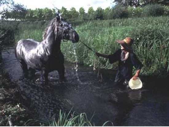 貸切観光タクシー 遠野に伝わる昔話とカッパ伝説に触れる旅  カッパ淵+伝承園+続石+五百羅漢+とおの物語の館etc.＜4時間／遠野市内発着＞