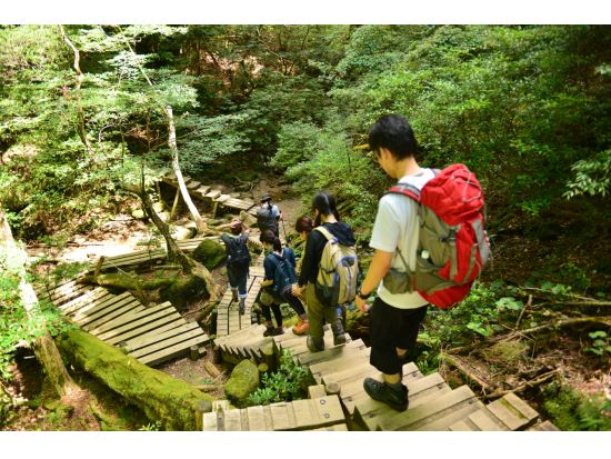 縄文杉トレッキング 縄文杉ルートを熟知したガイドが屋久杉や屋久杉伐採の歴史も解説 ＜登山装備レンタル付・宮之浦～安房エリア送迎あり＞ by A・N・D