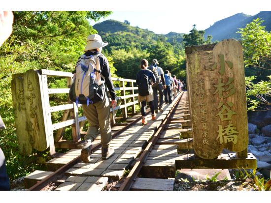 縄文杉トレッキング 縄文杉ルートを熟知したガイドが屋久杉や屋久杉伐採の歴史も解説 ＜登山装備レンタル付・宮之浦～安房エリア送迎あり＞ by A・N・D