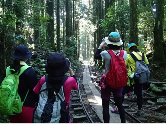 縄文杉1日＋白谷雲水峡半日（苔むす森）or 1日（太鼓岩まで）2日間トレッキングツアー by A・N・D