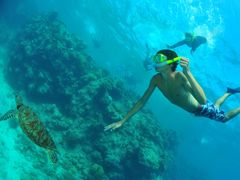 reef5