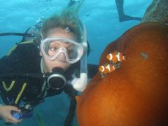 reef8