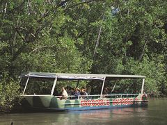 Rainforest Tour