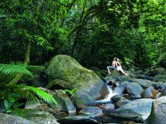 Rainforest Tour 7