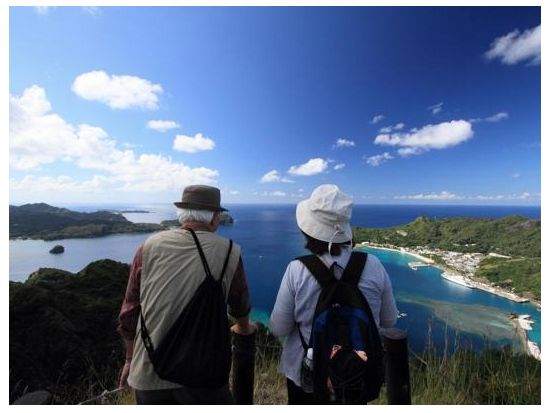 父島フォレストウォーク 亜熱帯の森をのんびり歩きながら動植物の進化の謎に触れる半日コース＜午前・午後／送迎付き／小笠原諸島・父島＞by 竹ネイチャーアカデミー