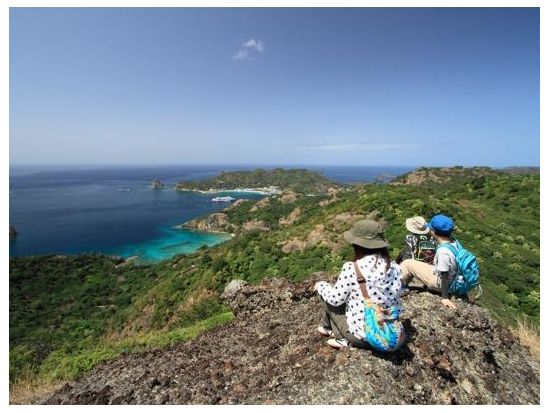 父島フォレストウォーク 亜熱帯の森をのんびり歩きながら動植物の進化の謎に触れる半日コース＜午前・午後／送迎付き／小笠原諸島・父島＞by 竹ネイチャーアカデミー