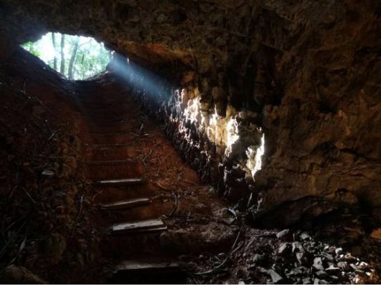 父島に眠る戦跡を歩く 歴史めぐり半日ツアー[竹ネイチャーアカデミー/父島]
