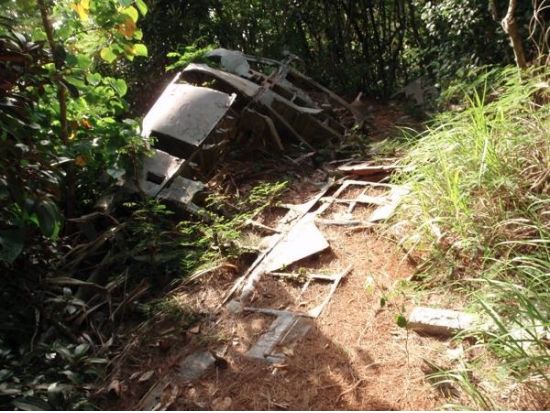 父島に眠る戦跡を歩く 歴史めぐり半日ツアー[竹ネイチャーアカデミー/父島]