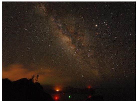 父島ナイトツアー　夜の森で貴重な小笠原固有の生き物探しと日本一の星空観賞＜夜／送迎付き／小笠原諸島・父島発＞by竹ネイチャーアカデミー