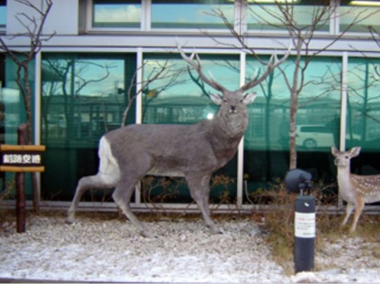 阿寒摩周国立公園三大湖満喫ツアー ＜7時間／1～4名／釧路市発・釧路空港お送り可＞by 金星釧路観光ハイヤー