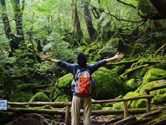 白谷雲水峡と太鼓岩03