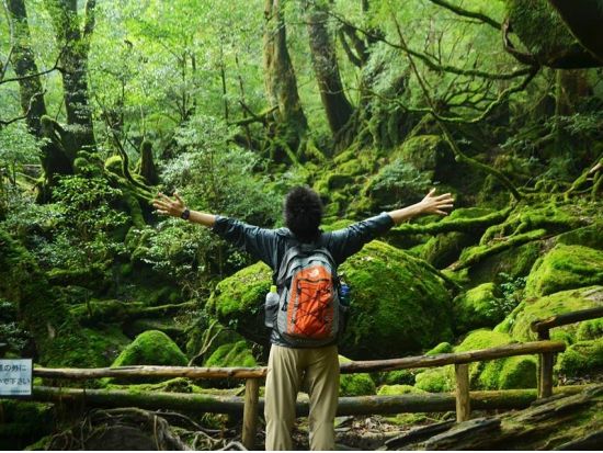 白谷雲水峡半日（苔むす森まで）トレッキング ＜登山装備レンタル付・宮之浦～安房エリア送迎あり＞ by A・N・D