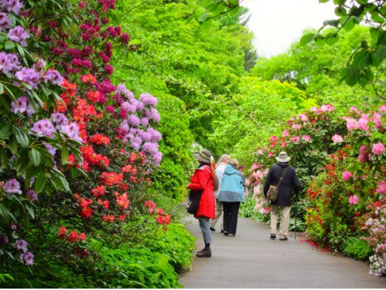 バンクーバー名園散策ツアー　バンデューセン植物園＆クイーンエリザベス公園 ＜4～10月／昼食付き／日本語ガイド＞